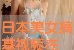 日本搞基视频,一场禁忌的视觉盛宴
