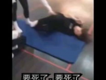 美女杀猪视频,美女杀猪视频背后的惊人真相